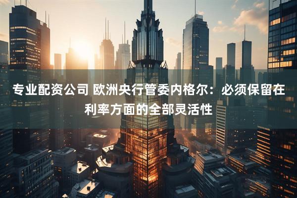 专业配资公司 欧洲央行管委内格尔：必须保留在利率方面的全部灵活性