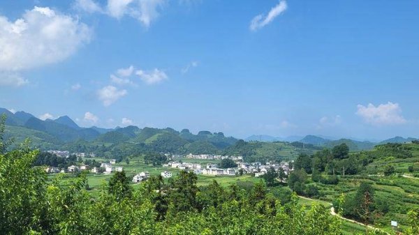 股票在线配资交易所 桐梓“田园官仓” “候鸟”避暑“故乡”