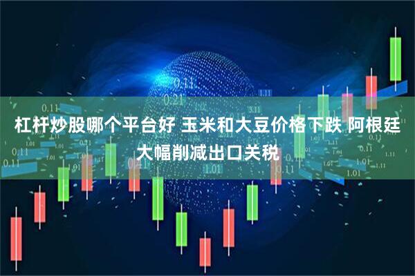 杠杆炒股哪个平台好 玉米和大豆价格下跌 阿根廷大幅削减出口关税